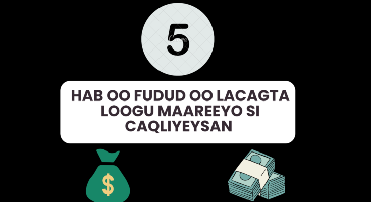 5 Hab oo Fudud oo Lacagta Loogu Maareeyo Si Caqliyeysan 