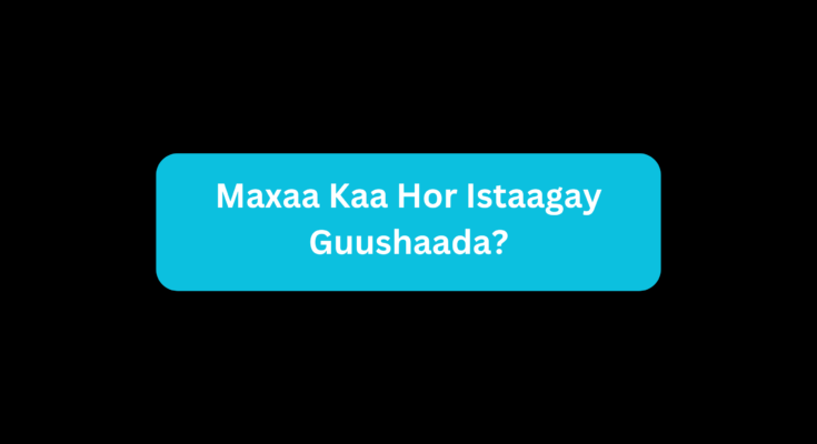 Maxaa Kaa Hor Istaagay Guushaada?