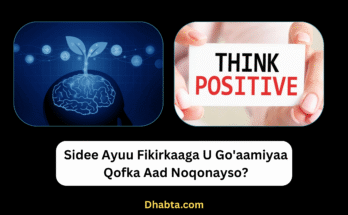fikirka wanaagsan