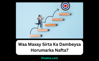 sirta horumarka