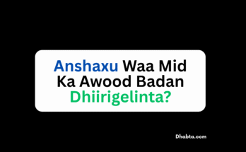 Anshax Waa Mid Ka Awood Badan Dhiirigelinta?