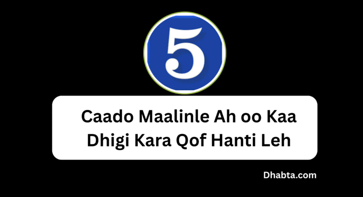 Caado Maalinle Ah oo Kaa Dhigi Kara Qof Hanti Leh